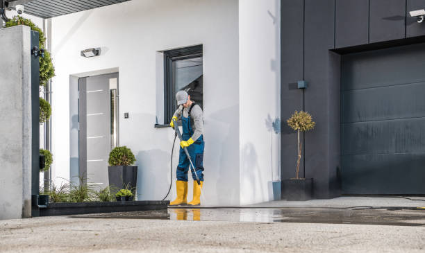 Best Rust Removal  in White Mountain Lake, AZ